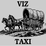 VIZ Driver icon