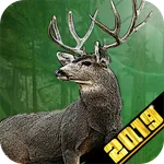 Big Buck 3D Deer Hunting Games icon