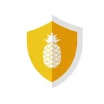 AlohaVPN: Fast & Secure VPN icon