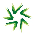SEAS icon