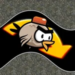 Crazy Running Bird icon