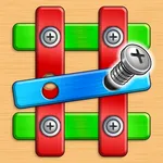 Screw Nuts and Bolts Puzzle icon