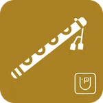 Learn & Practice Flute icon
