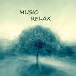 Music Relax icon