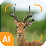 Animal identifier icon