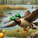 Duck Hunting icon
