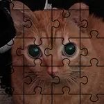 Catato The Puzzle icon