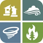 Disaster Recovery Volunteer icon