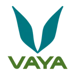 Vaya One icon