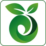 Health Tips (Hindi) icon