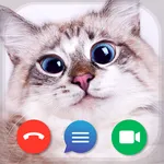 Kitty Call: Play with Cats icon