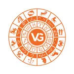 VG Partner icon