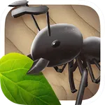 Idle Ant War icon