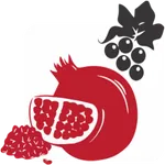 Venkateshwara Farms icon