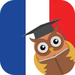 Learn French for beginners icon