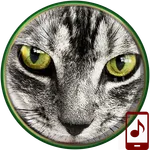 Animals Ringtones icon