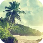 Summer Wallpapers icon