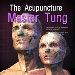 The Acupuncture Master Tung icon