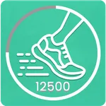 Step Counter- Daily Walking icon