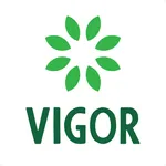 Vigor | ويجور icon