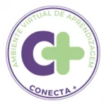 Conecta+ icon