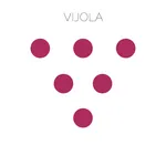 Vijola icon