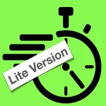 VinCar Lite icon