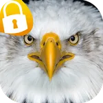 Eagl Lock Screen & Wallpapers icon