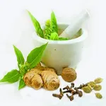 घरेलु उपचार - Home Remedies in icon