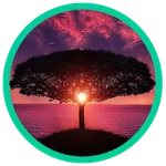 Viral Chop icon