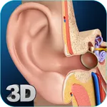 My Ear Anatomy icon