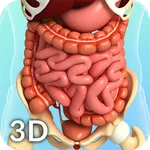 Digestive System Anatomy icon