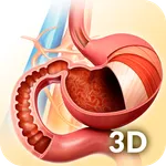 My Stomach Anatomy icon