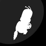 RoboXscape icon
