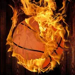 FireShot icon