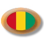 Guinean apps icon