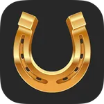 RomiRoom icon