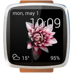 Animated watch faces icon