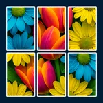 Fun Jigsolitaire : Jigsaw Game icon