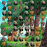 Animal matching puzzle pair icon