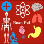 Rean Pet icon