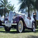 Vintager icon