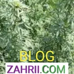 ZAHRII icon
