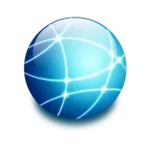 Network Information icon