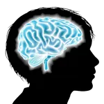 Memory Match icon