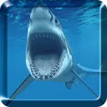 Shark Live Wallpaper icon