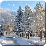 Winter Snow Live Wallpaper HD icon