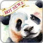 Panda Wallpaper icon