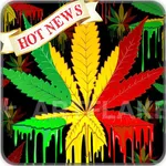 Reggae Wallpaper icon