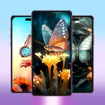 Wallpapers HD & 4K Background icon